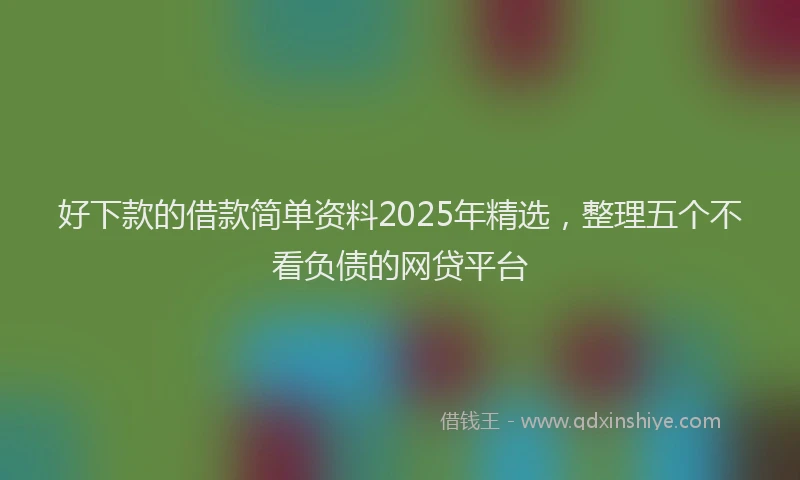 好下款的借款简单资料2025年精选，整理五个不看负债的网贷平台