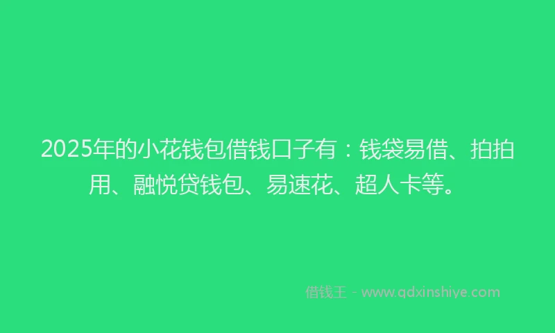 2025年的小花钱包借钱口子有：钱袋易借、拍拍用、融悦贷钱包、易速花、超人卡等。