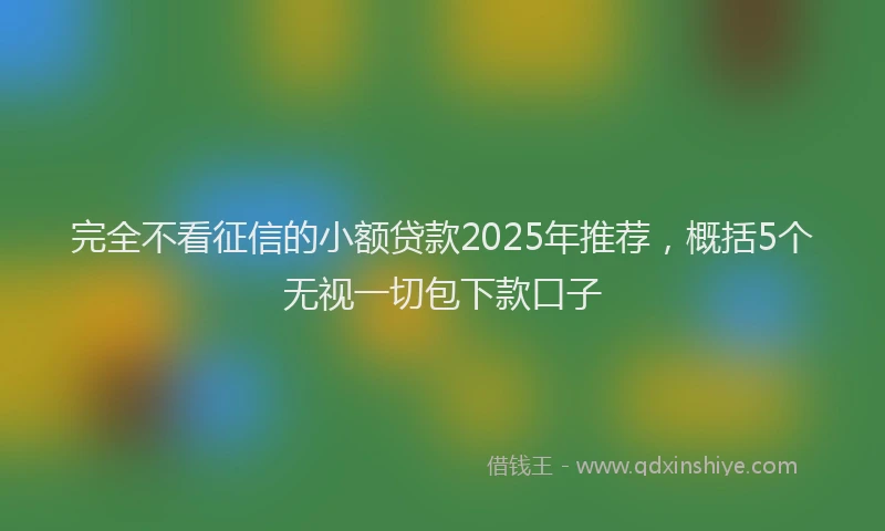 完全不看征信的小额贷款2025年推荐，概括5个无视一切包下款口子