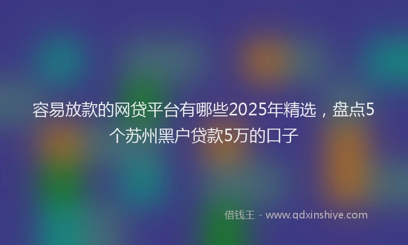 容易放款的网贷平台有哪些2025年精选，盘点5个苏州黑户贷款5万的口子