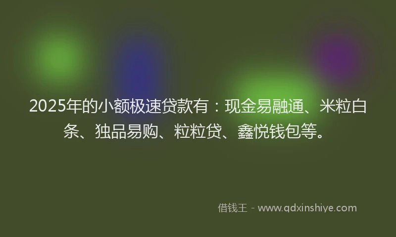 2025年的小额极速贷款有：现金易融通、米粒白条、独品易购、粒粒贷、鑫悦钱包等。