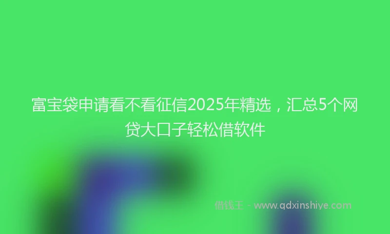 富宝袋申请看不看征信2025年精选，汇总5个网贷大口子轻松借软件