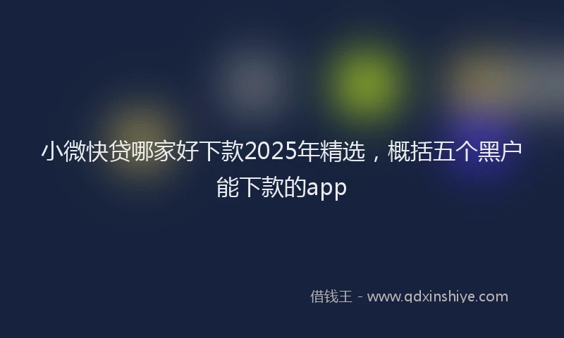 小微快贷哪家好下款2025年精选，概括五个黑户能下款的app