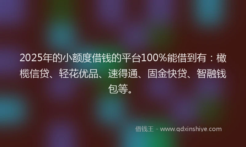 2025年的小额度借钱的平台100%能借到有:橄榄信贷、轻花优品、速得通、固金快贷、智融钱包等。