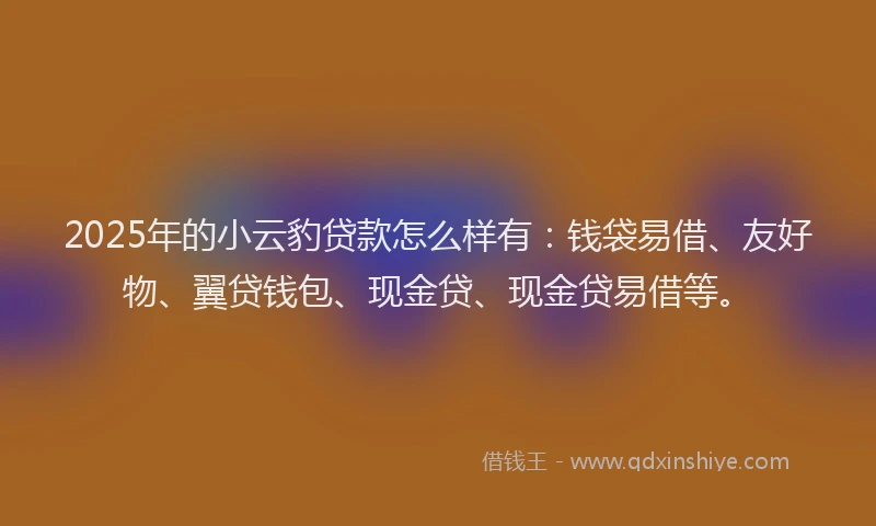 2025年的小云豹贷款怎么样有：钱袋易借、友好物、翼贷钱包、现金贷、现金贷易借等。