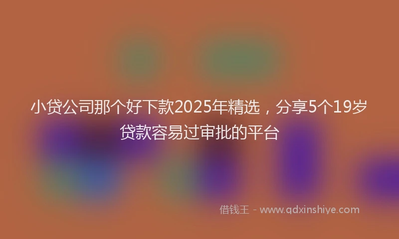 小贷公司那个好下款2025年精选，分享5个19岁贷款容易过审批的平台