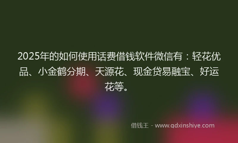 2025年的如何使用话费借钱软件微信有：轻花优品、小金鹤分期、天源花、现金贷易融宝、好运花等。