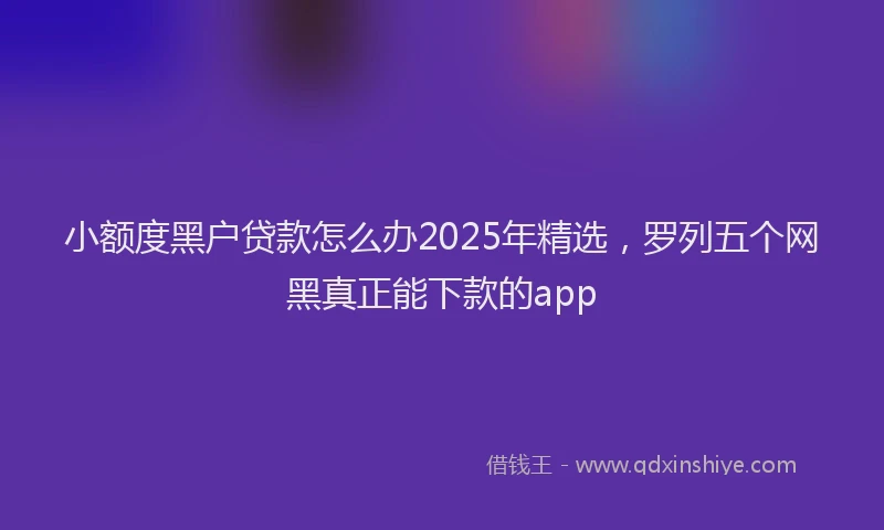 小额度黑户贷款怎么办2025年精选，罗列五个网黑真正能下款的app