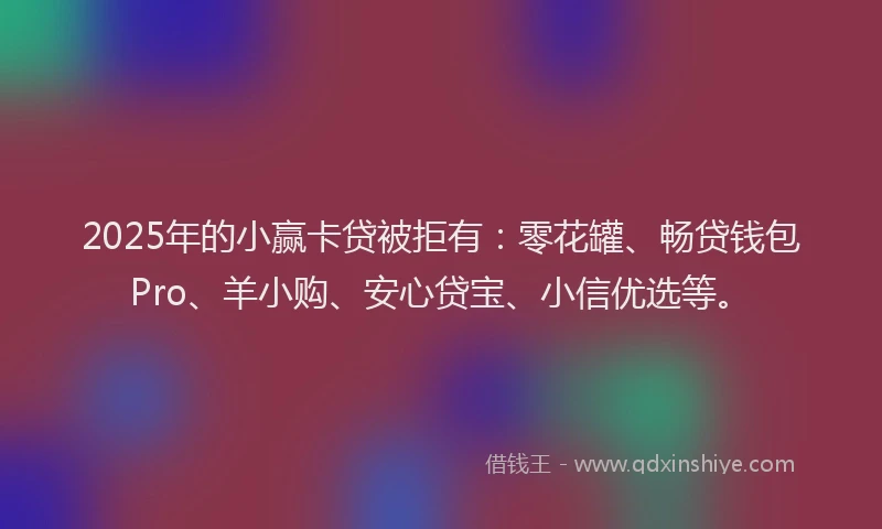 2025年的小赢卡贷被拒有：零花罐、畅贷钱包Pro、羊小购、安心贷宝、小信优选等。