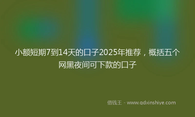 小额短期7到14天的口子2025年推荐，概括五个网黑夜间可下款的口子
