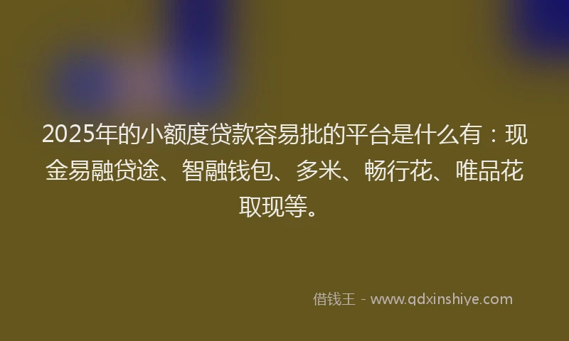 2025年的小额度贷款容易批的平台是什么有：现金易融贷途、智融钱包、多米、畅行花、唯品花取现等。