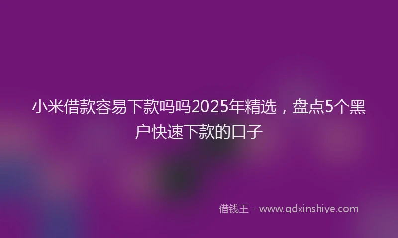 小米借款容易下款吗吗2025年精选，盘点5个黑户快速下款的口子