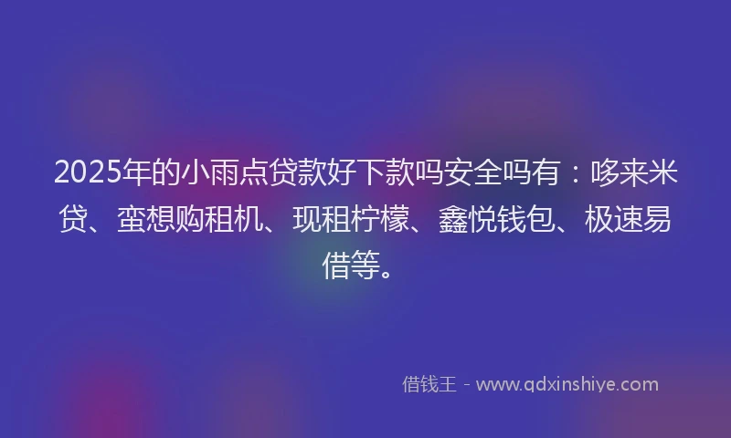 2025年的小雨点贷款好下款吗安全吗有：哆来米贷、蛮想购租机、现租柠檬、鑫悦钱包、极速易借等。