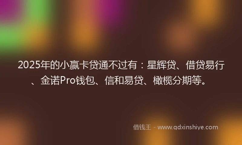 2025年的小赢卡贷通不过有：星辉贷、借贷易行、金诺Pro钱包、信和易贷、橄榄分期等。