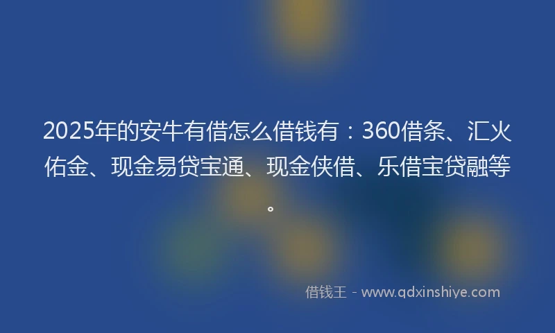 2025年的安牛有借怎么借钱有：360借条、汇火佑金、现金易贷宝通、现金侠借、乐借宝贷融等。