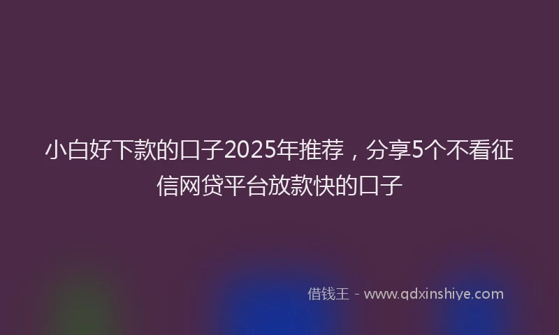 小白好下款的口子2025年推荐,分享5个不看征信网贷平台放款快的口子