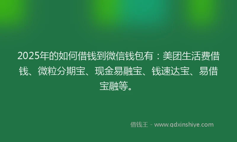 2025年的如何借钱到微信钱包有：美团生活费借钱、微粒分期宝、现金易融宝、钱速达宝、易借宝融等。