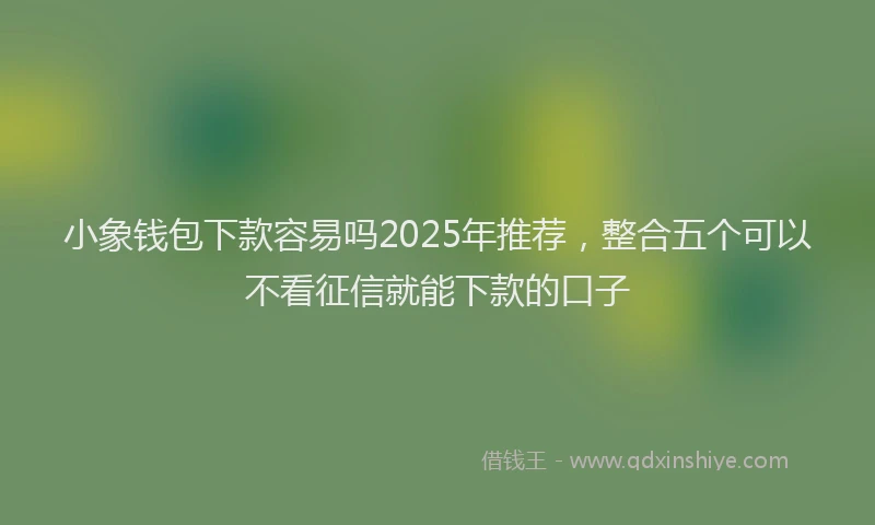 小象钱包下款容易吗2025年推荐，整合五个可以不看征信就能下款的口子