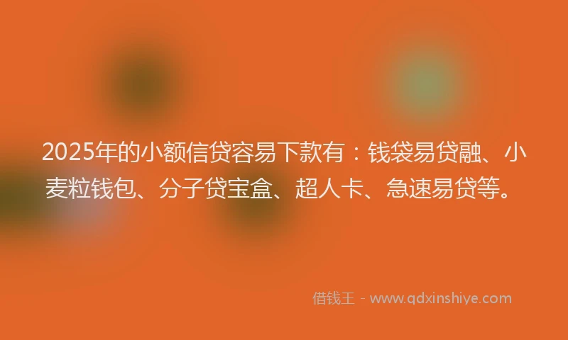 2025年的小额信贷容易下款有：钱袋易贷融、小麦粒钱包、分子贷宝盒、超人卡、急速易贷等。