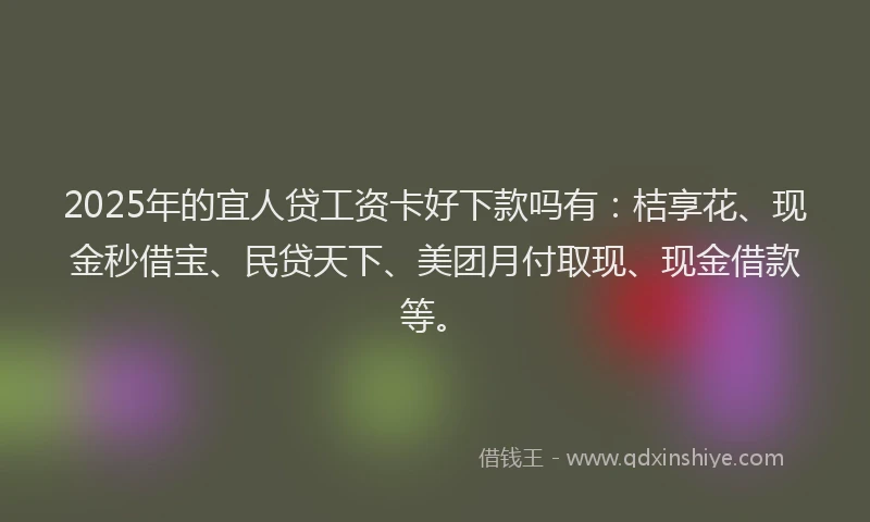 2025年的宜人贷工资卡好下款吗有：桔享花、现金秒借宝、民贷天下、美团月付取现、现金借款等。