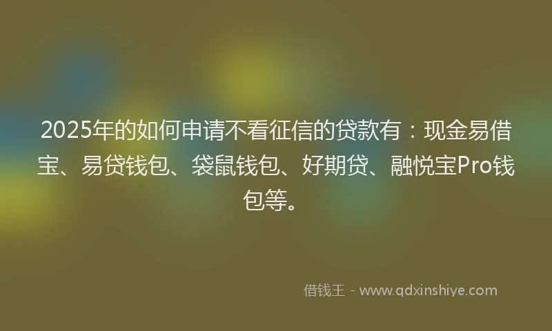 2025年的如何申请不看征信的贷款有：现金易借宝、易贷钱包、袋鼠钱包、好期贷、融悦宝Pro钱包等。