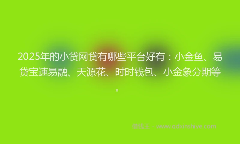 2025年的小贷网贷有哪些平台好有：小金鱼、易贷宝速易融、天源花、时时钱包、小金象分期等。