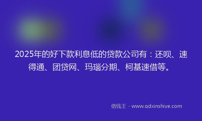2025年的好下款利息低的贷款公司有：还呗、速得通、团贷网、玛瑙分期、柯基速借等。