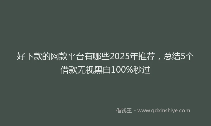 好下款的网款平台有哪些2025年推荐，总结5个借款无视黑白100%秒过