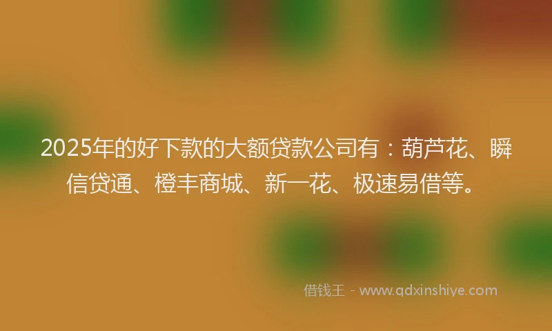 2025年的好下款的大额贷款公司有：葫芦花、瞬信贷通、橙丰商城、新一花、极速易借等。
