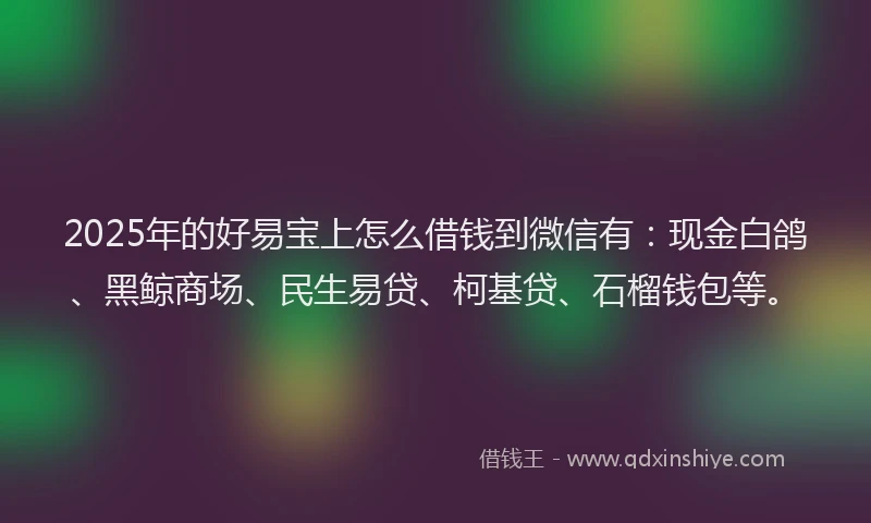 2025年的好易宝上怎么借钱到微信有：现金白鸽、黑鲸商场、民生易贷、柯基贷、石榴钱包等。