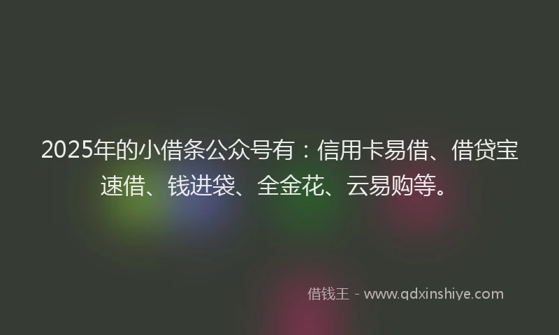 2025年的小借条公众号有：信用卡易借、借贷宝速借、钱进袋、全金花、云易购等。