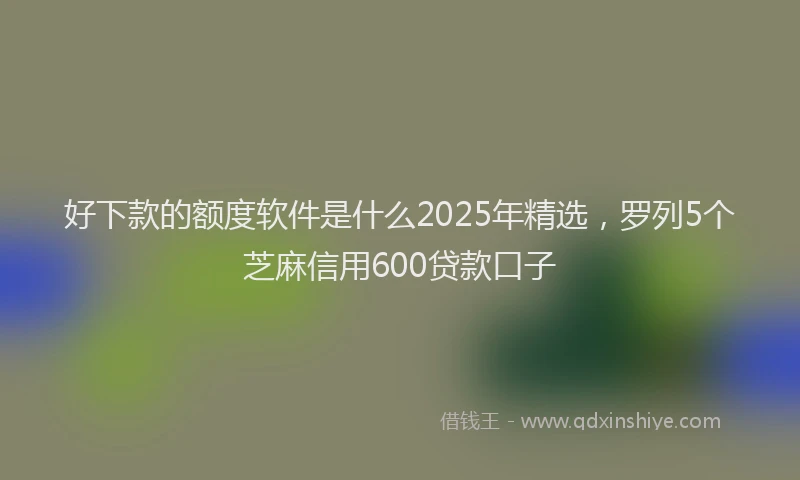 好下款的额度软件是什么2025年精选，罗列5个芝麻信用600贷款口子