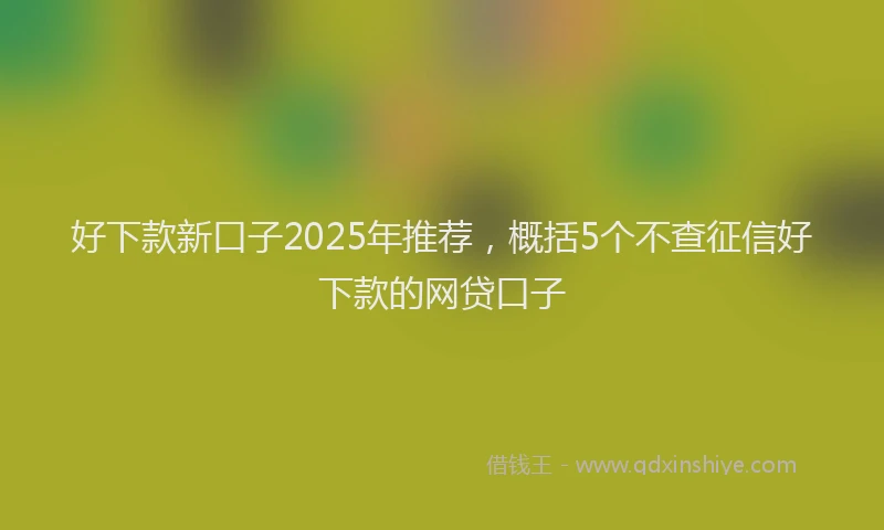 好下款新口子2025年推荐，概括5个不查征信好下款的网贷口子