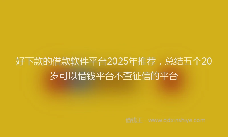 好下款的借款软件平台2025年推荐，总结五个20岁可以借钱平台不查征信的平台