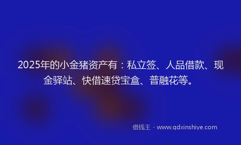 2025年的小金猪资产有：私立签、人品借款、现金驿站、快借速贷宝盒、普融花等。