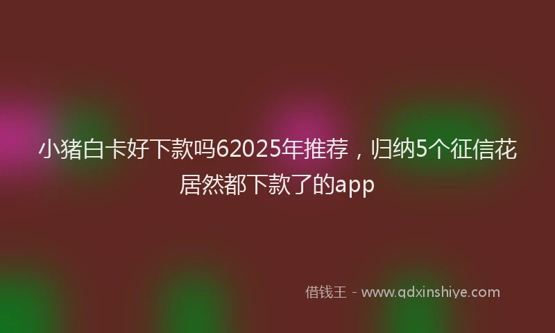 小猪白卡好下款吗62025年推荐，归纳5个征信花居然都下款了的app
