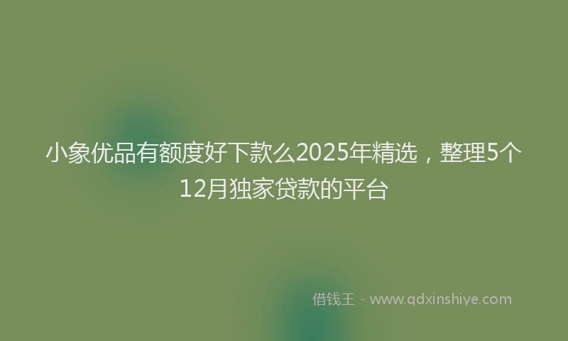 小象优品有额度好下款么2025年精选，整理5个12月独家贷款的平台