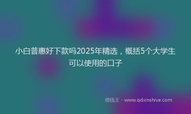 小白普惠好下款吗2025年精选，概括5个大学生可以使用的口子
