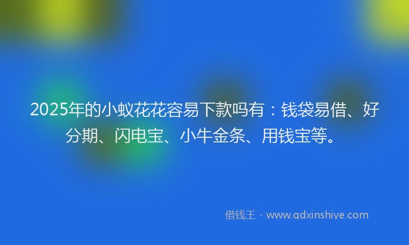 2025年的小蚁花花容易下款吗有：钱袋易借、好分期、闪电宝、小牛金条、用钱宝等。