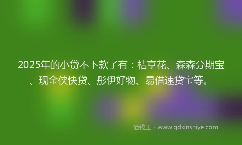 2025年的小贷不下款了有：桔享花、森森分期宝、现金侠快贷、彤伊好物、易借速贷宝等。