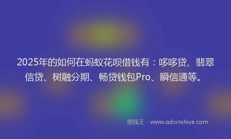 2025年的如何在蚂蚁花呗借钱有：哆哆贷、翡翠信贷、树融分期、畅贷钱包Pro、瞬信通等。