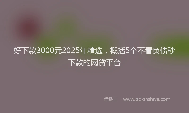 好下款3000元2025年精选，概括5个不看负债秒下款的网贷平台