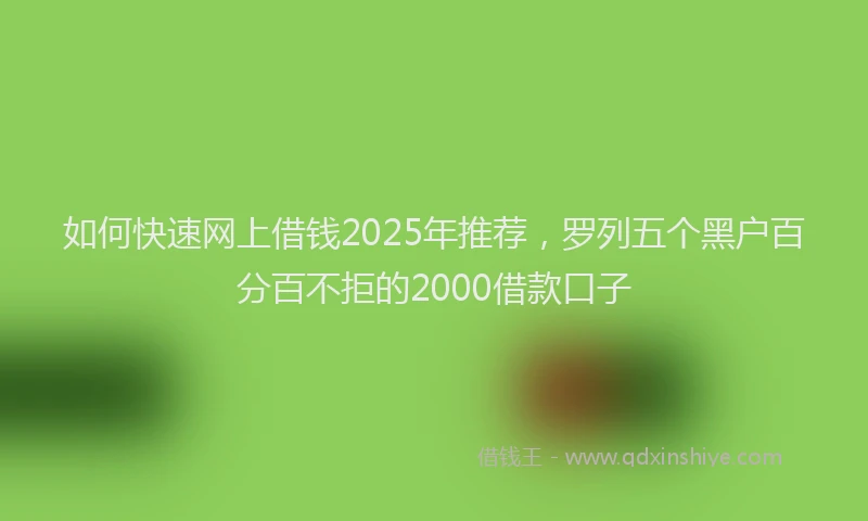 如何快速网上借钱2025年推荐，罗列五个黑户百分百不拒的2000借款口子