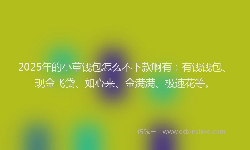 2025年的小草钱包怎么不下款啊有：有钱钱包、现金飞贷、如心来、金满满、极速花等。