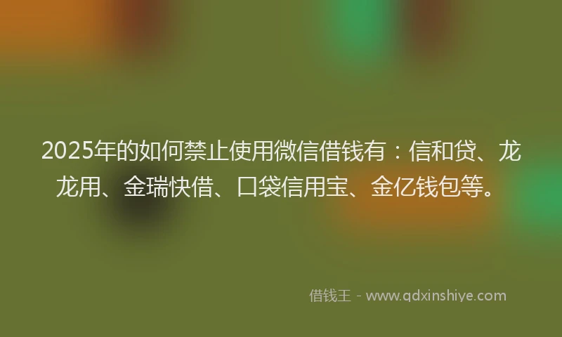 2025年的如何禁止使用微信借钱有：信和贷、龙龙用、金瑞快借、口袋信用宝、金亿钱包等。