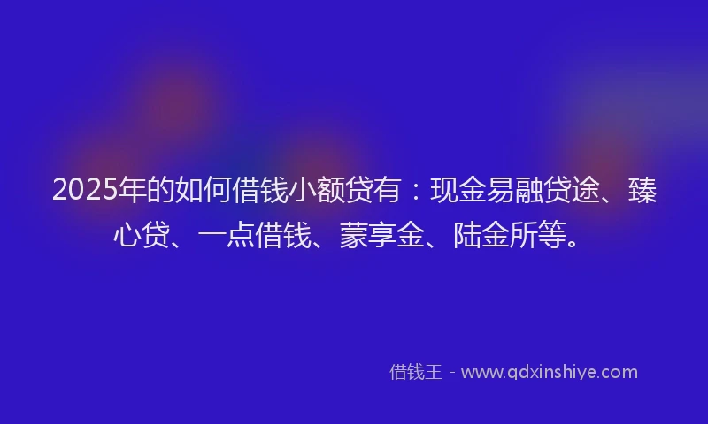 2025年的如何借钱小额贷有：现金易融贷途、臻心贷、一点借钱、蒙享金、陆金所等。