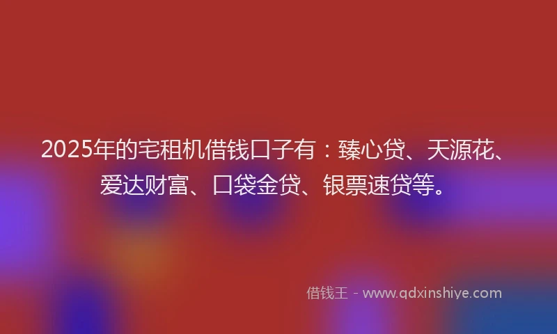2025年的宅租机借钱口子有：臻心贷、天源花、爱达财富、口袋金贷、银票速贷等。