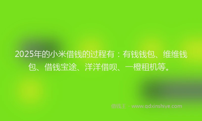 2025年的小米借钱的过程有：有钱钱包、维维钱包、借钱宝途、洋洋借呗、一橙租机等。