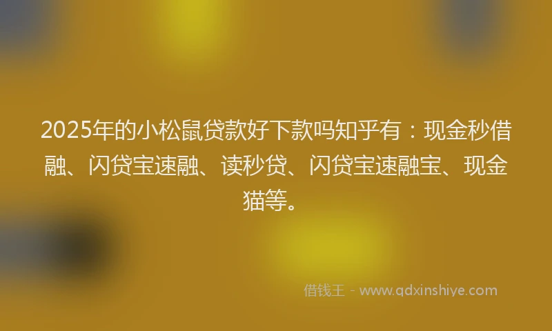 2025年的小松鼠贷款好下款吗知乎有：现金秒借融、闪贷宝速融、读秒贷、闪贷宝速融宝、现金猫等。
