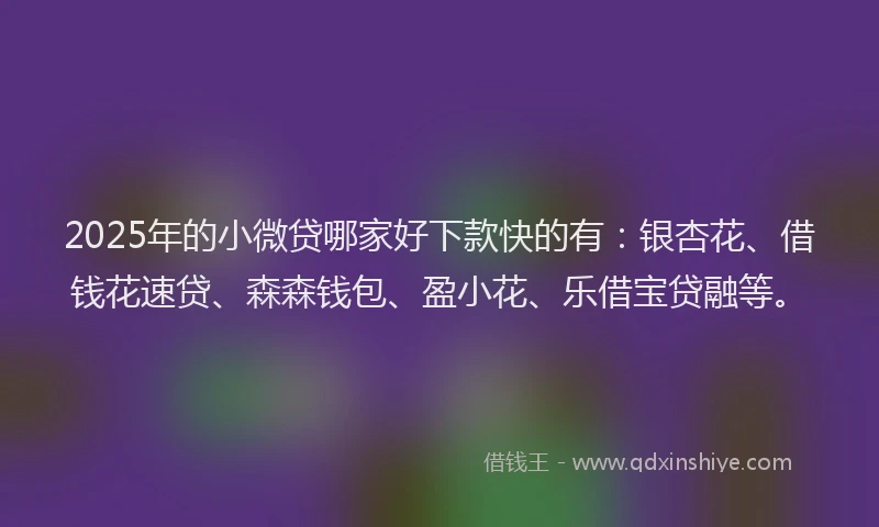 2025年的小微贷哪家好下款快的有：银杏花、借钱花速贷、森森钱包、盈小花、乐借宝贷融等。